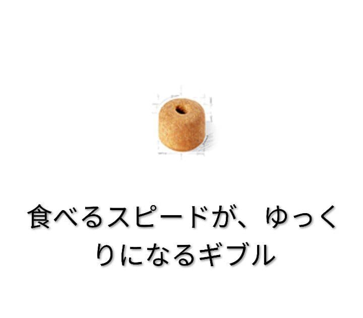  CANIN ラブラドール・レトリーバー 12kg　26.7.1期限