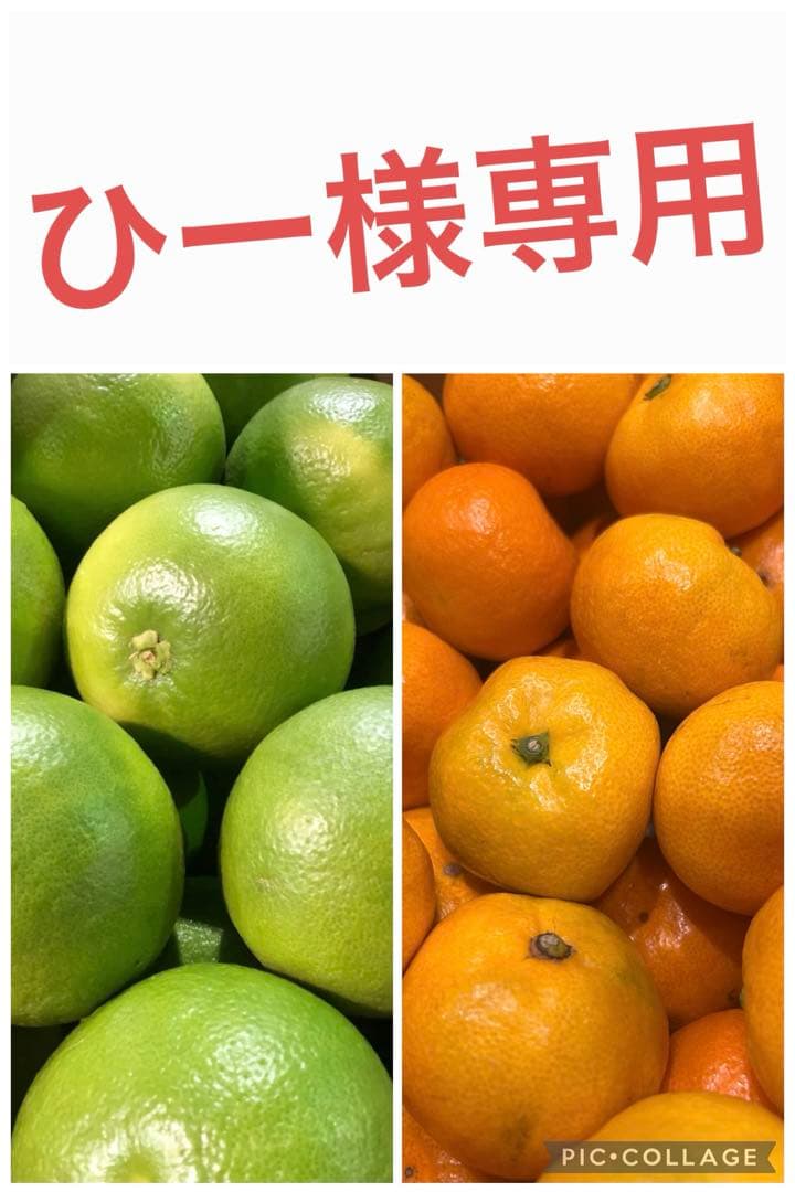 美柑娘　オロブランコ　セット