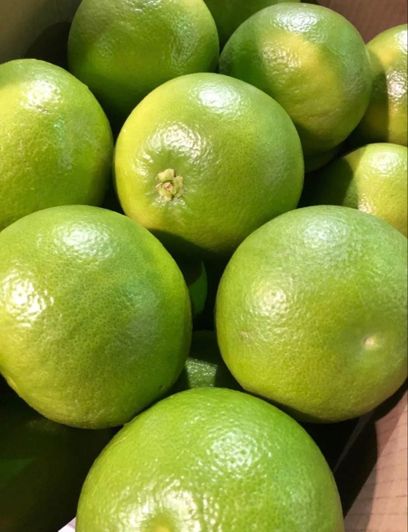 美柑娘　オロブランコ　セット