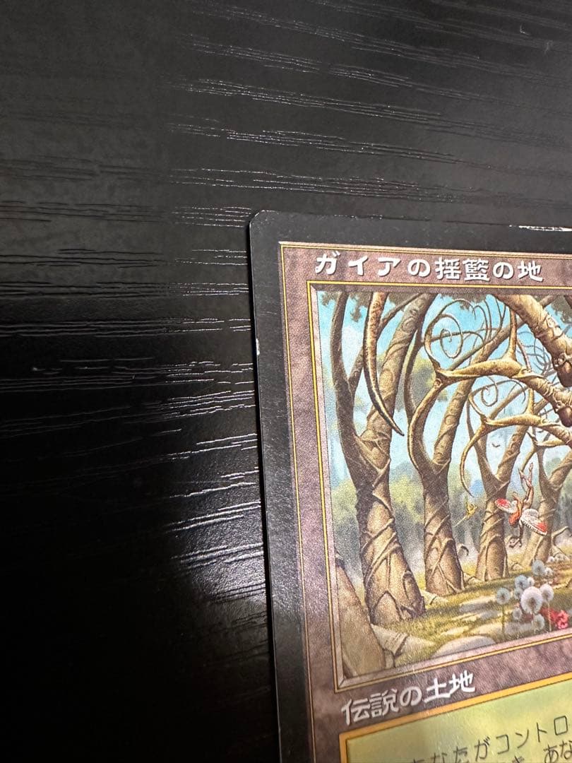 ★最終値下げ　ガイアの揺籃の地/Gaea's Cradle