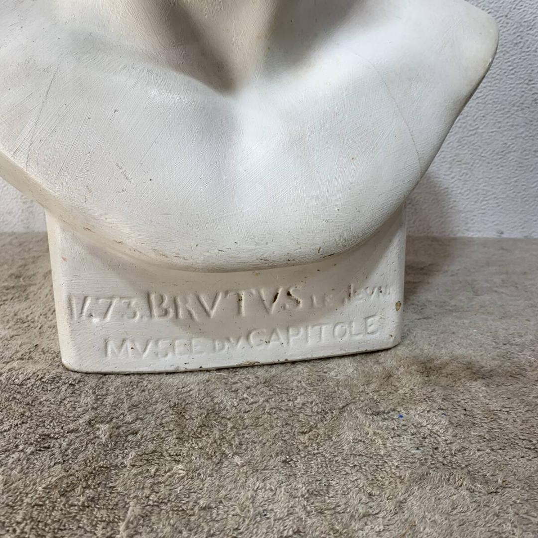 石膏像　ブルータス　デッサン用　美術　首像　置物　XZ4034