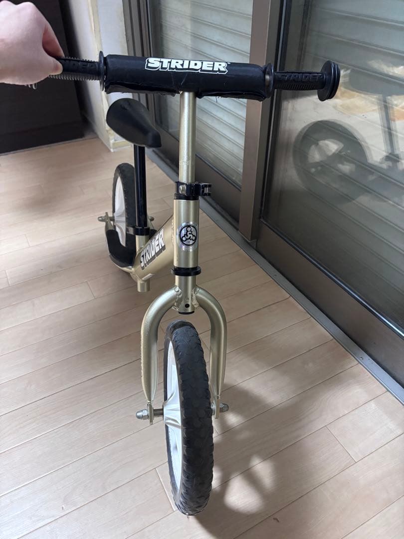 STRIDER Pro 10周年限定品シャンパンゴールド