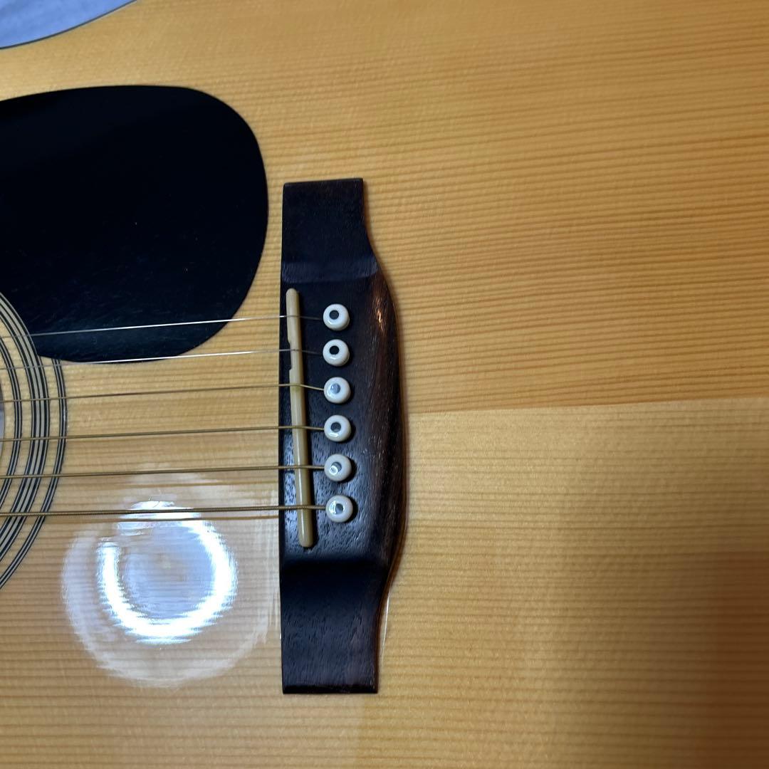 Recording King RD-06 ドレッドノート