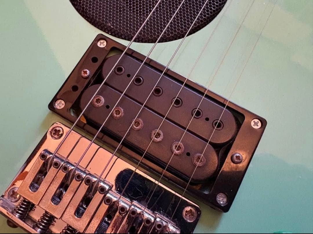 希少 Fernandes ZO-3(ぞーさん)スピーカー内臓エレキギター 完動品