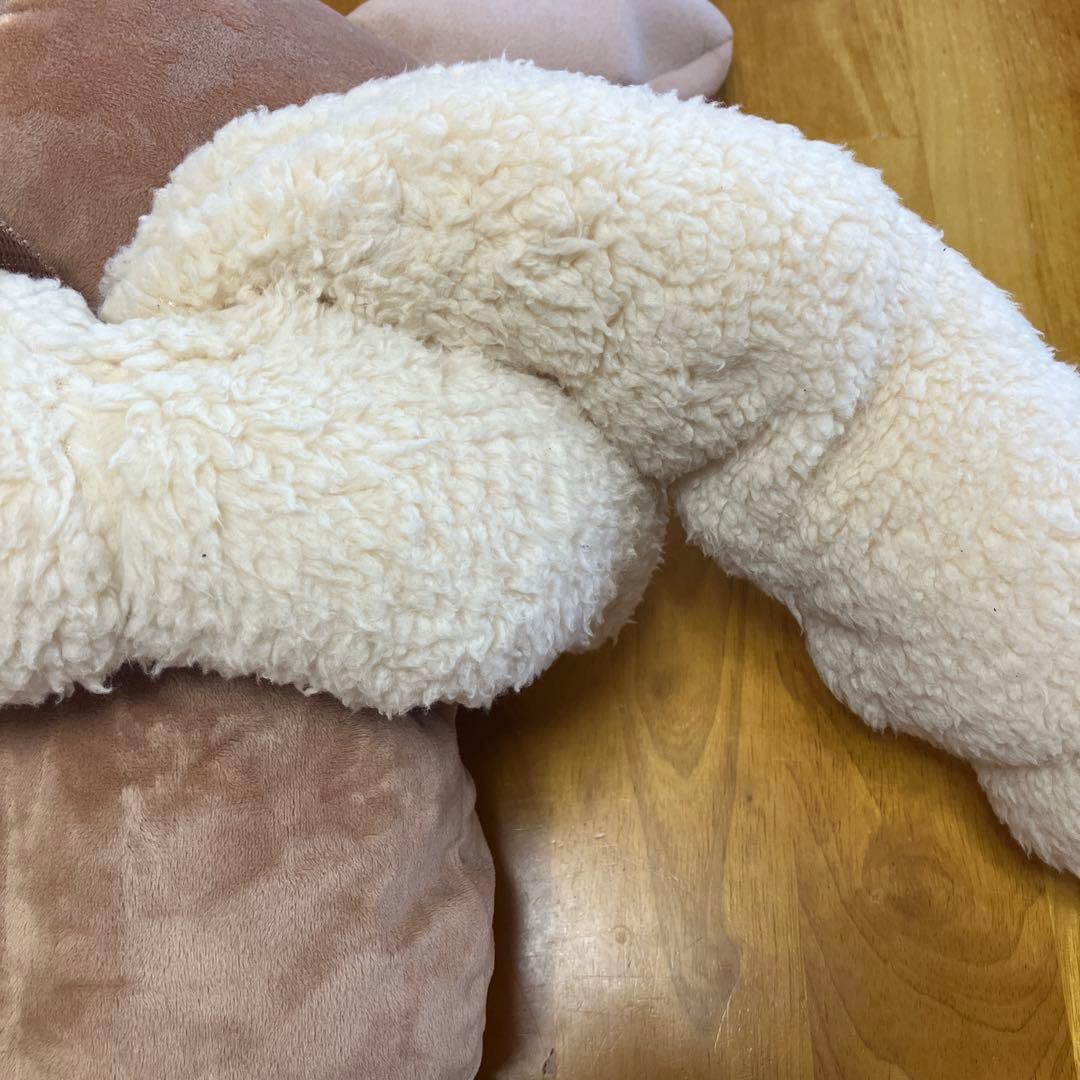 ボタンのイーブイリュック