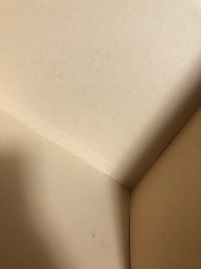 最終価格　ルイヴィトン　バッグ等箱　保存袋　まとめ売り