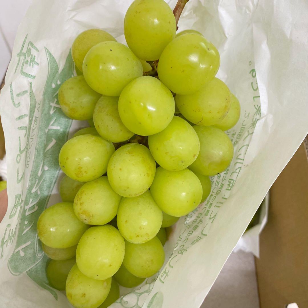 山梨県産　訳あり　家庭用　シャインマスカット　10房　箱込み5.7kg ⑦