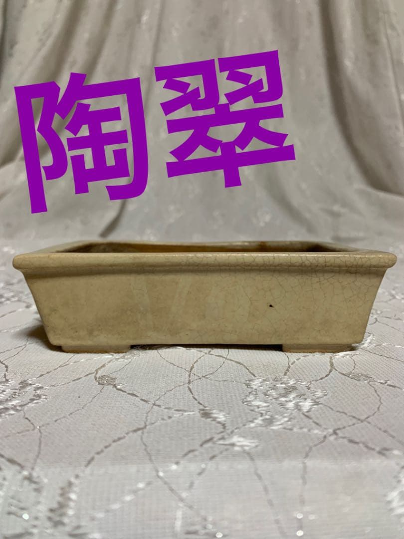 陶翠？　盆栽鉢　長方