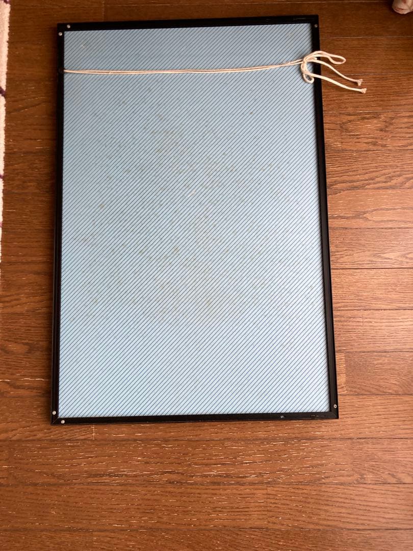 アイルトン・セナ Ayrton Senna