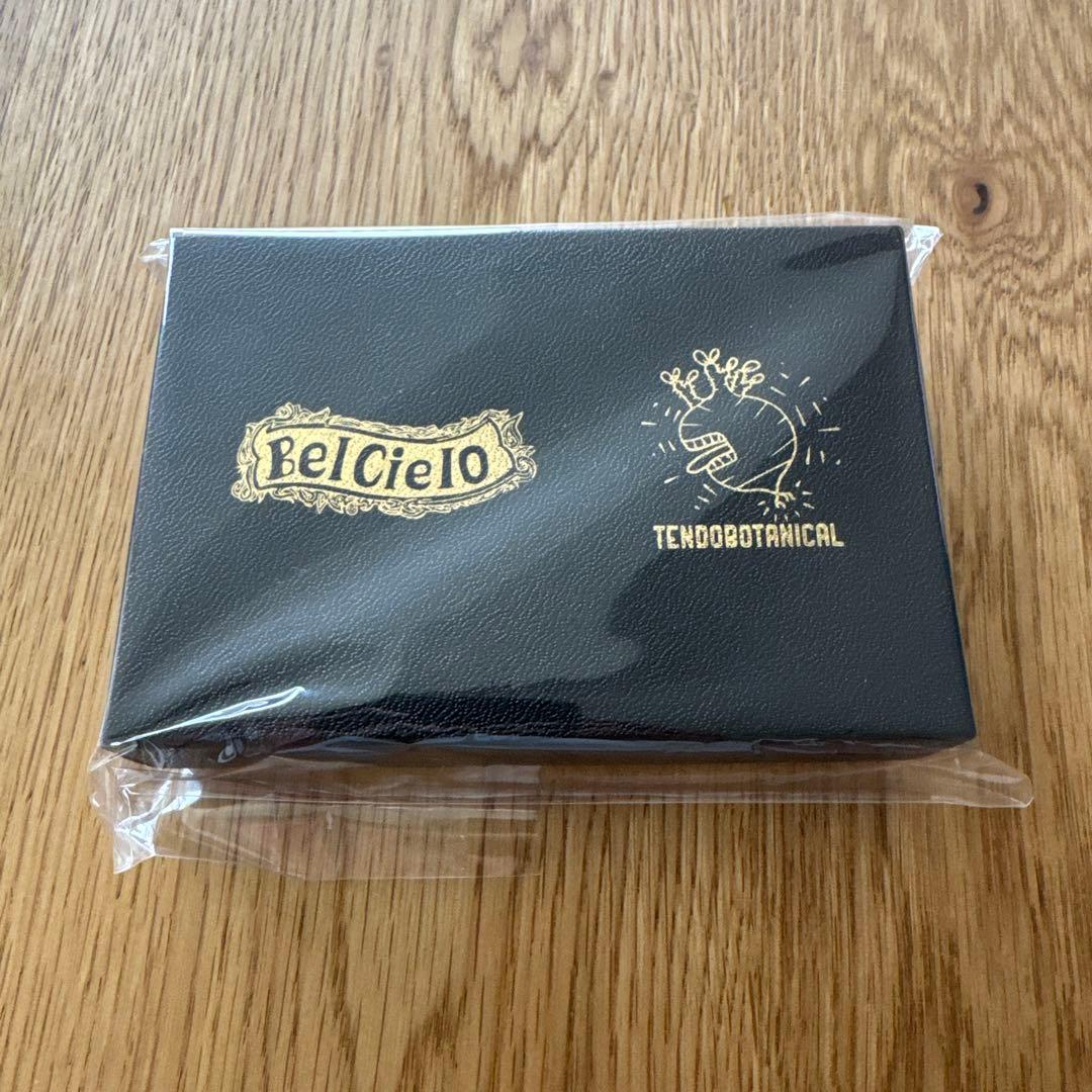 塊根植物 キーホルダー　グラキリス　シルバー925 グラ丸