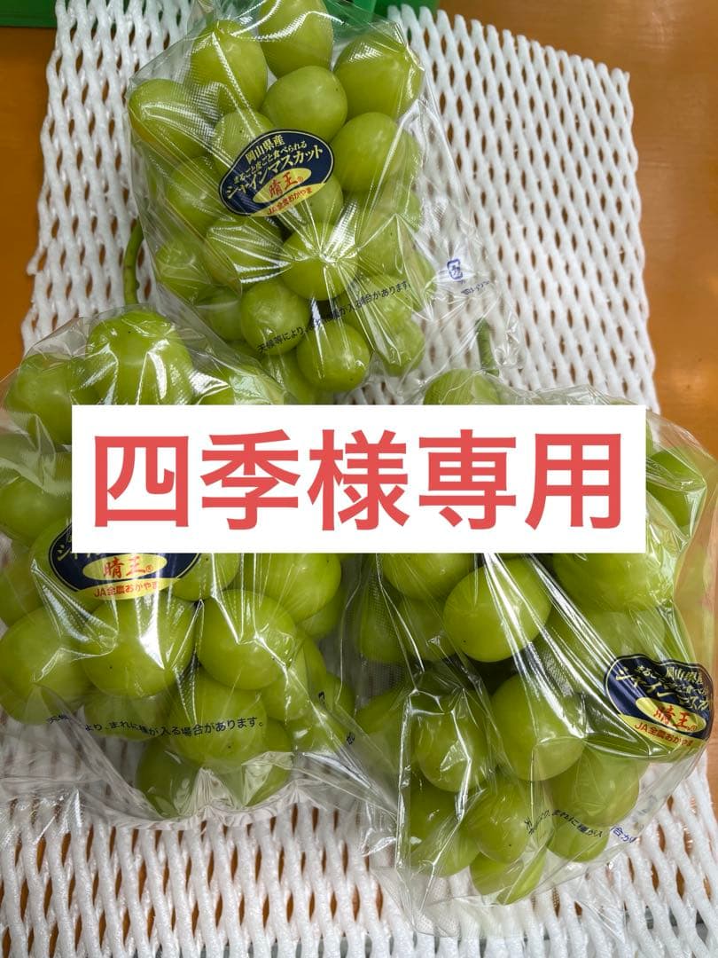 9/18発送※ 四季※