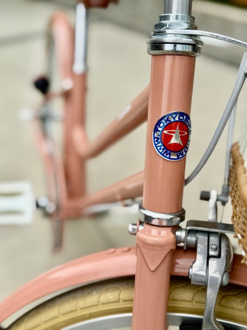 【⁎⁺˳✧༚様　受渡し専用】トーキョーバイクjr 20インチ　限定色