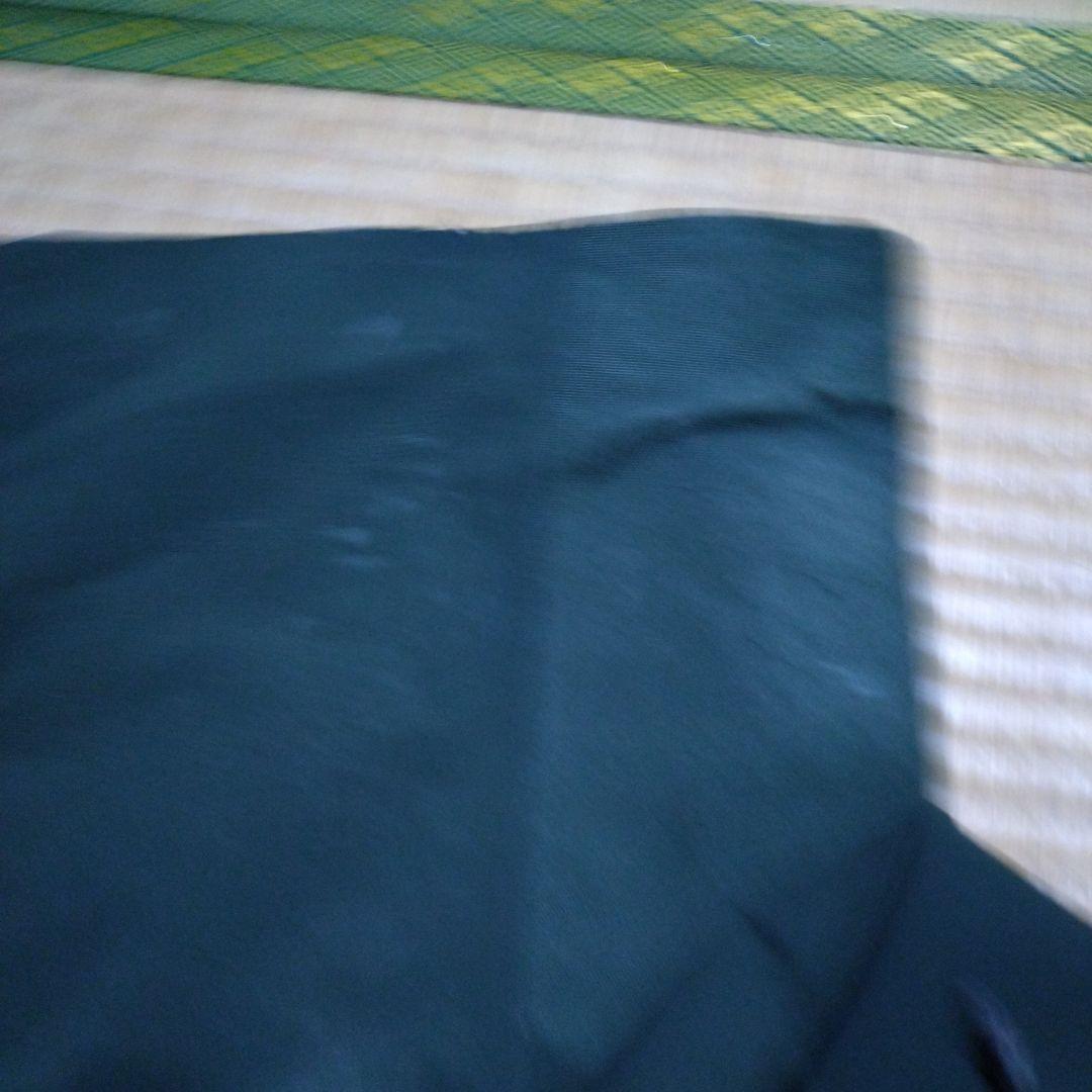 PeakPerformance MAROON2 スキー　パンツ