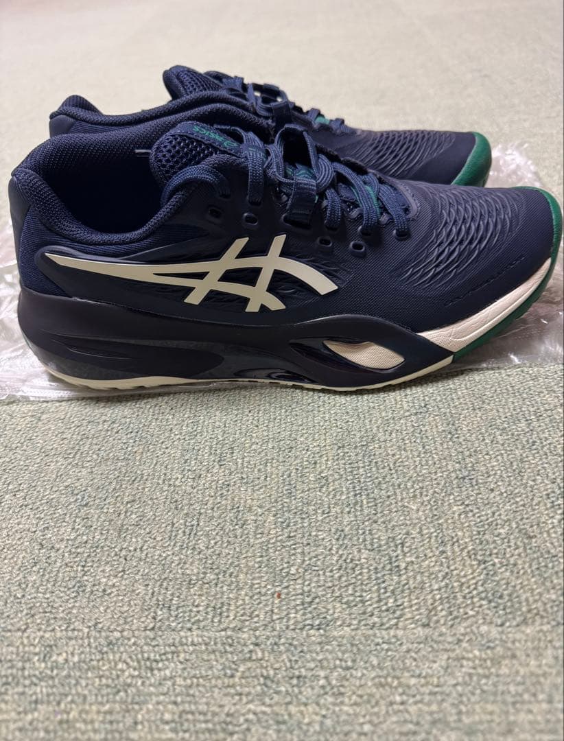 アシックス　ゲルレゾリューションX (25.0cm)