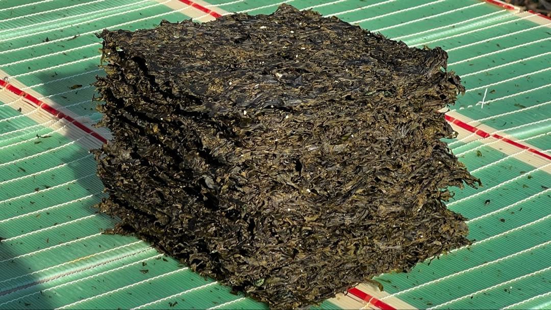 訳あり 出来たばかりの新春はばのり 35枚 12,180円 1枚あたり348円