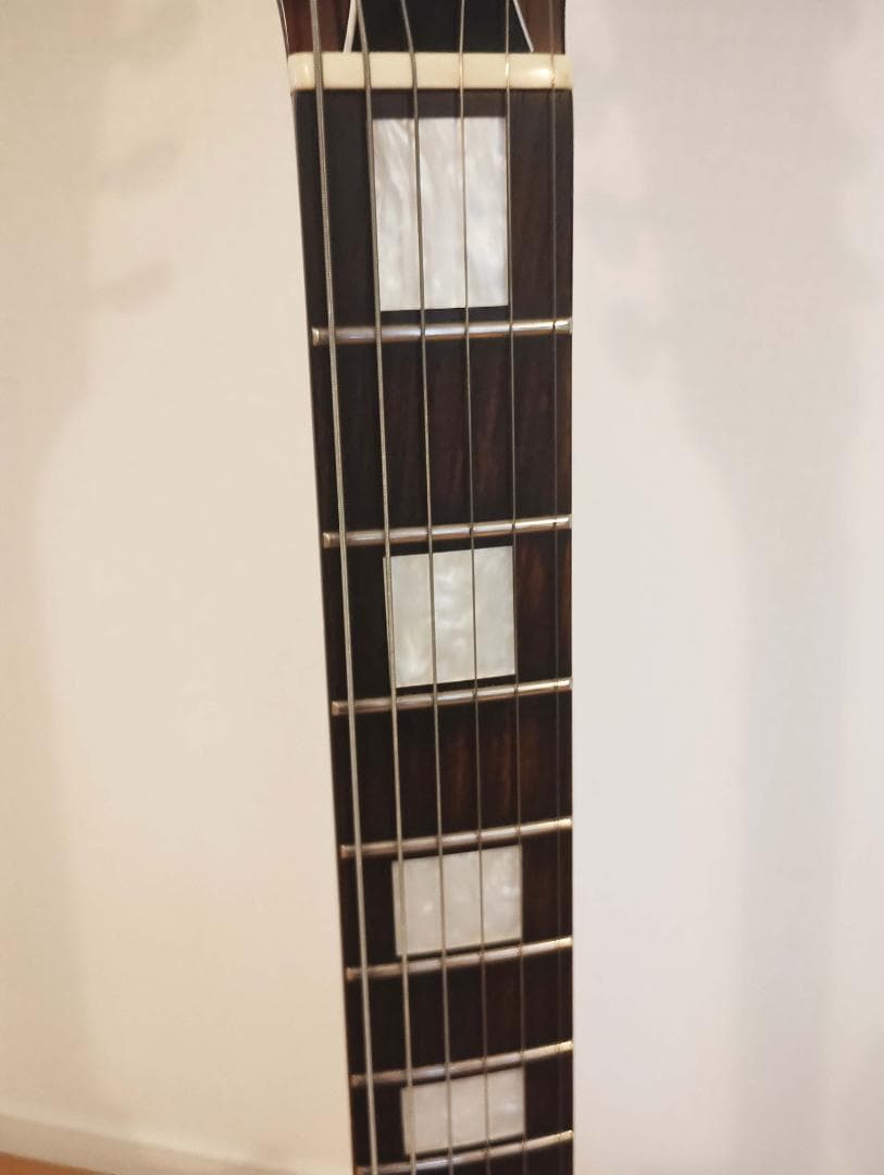 【レスポールタイプ・SSH】E-I-135QM【LUNA SEA・INORAN】