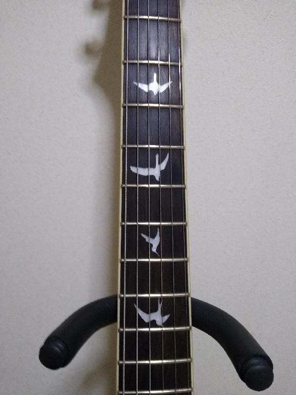 エレキギター セミアコ PRS SE