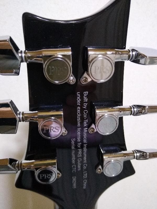 エレキギター セミアコ PRS SE