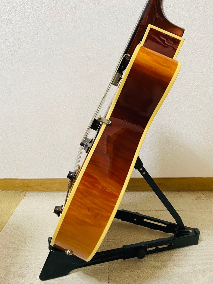 Godin エレキギター