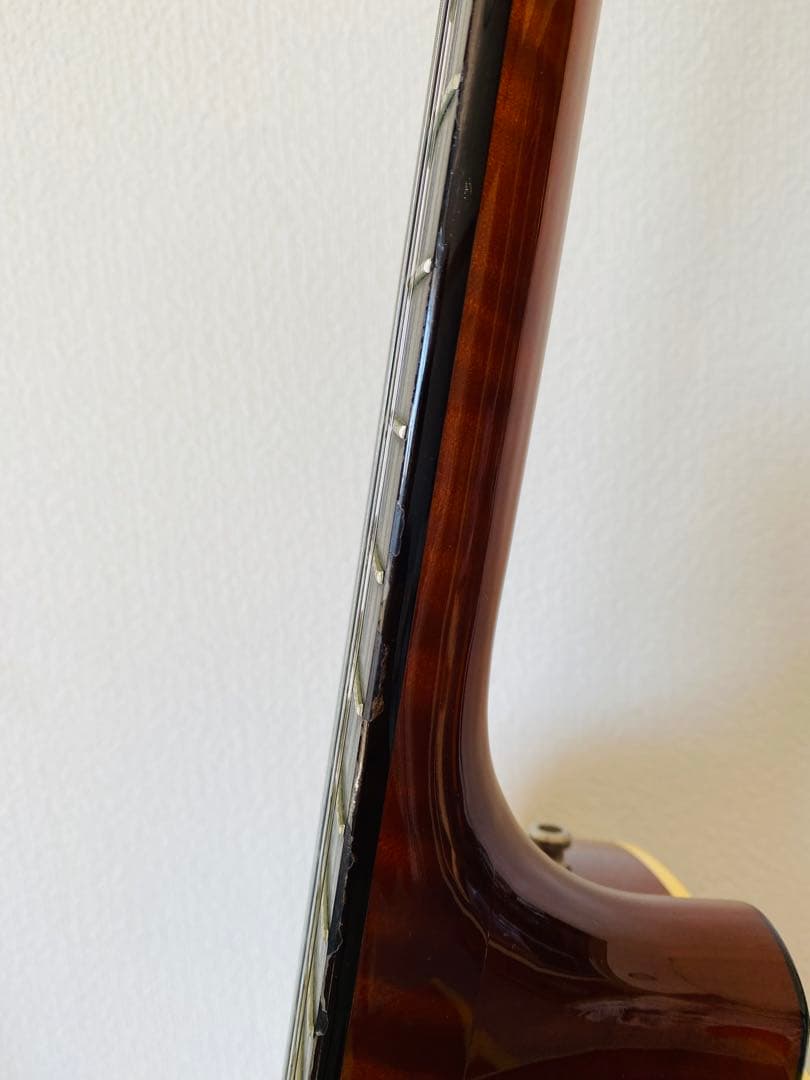 Godin エレキギター