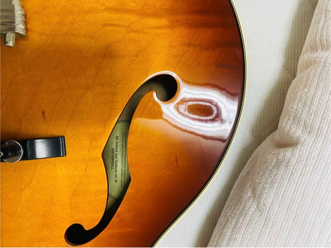 Godin エレキギター