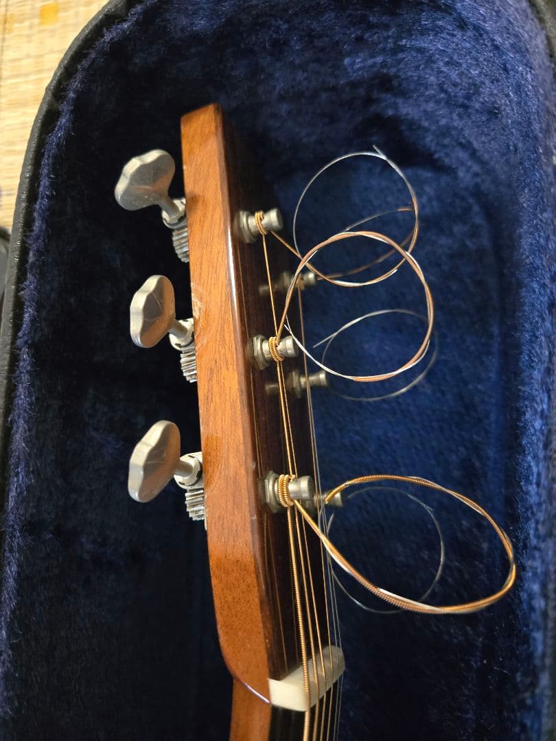 ASTURIAS アストリアス　TRAD D Reverence エレアコ仕様