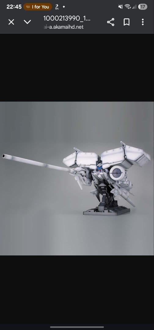 1/144　デンドロビウム