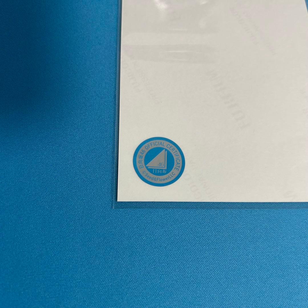 え*ん様 平尾帆夏　直筆サイン　生写真　サンタ衣装