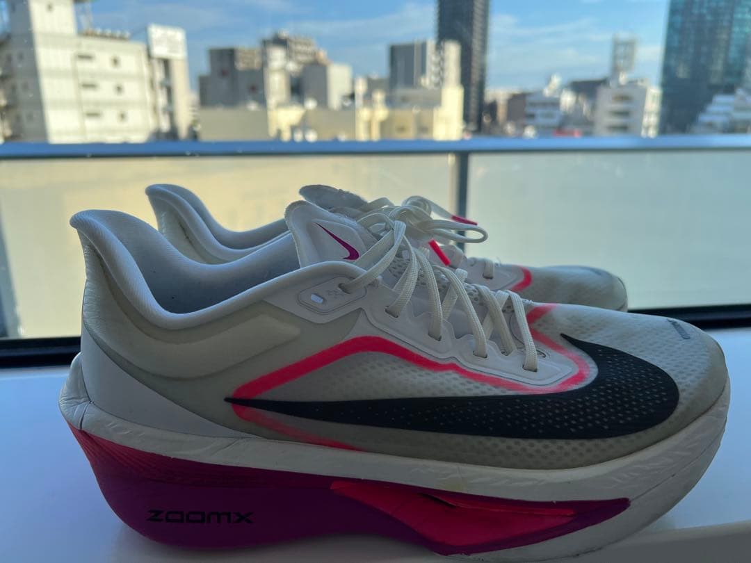 【27.5cm】ナイキ NIKE ズームフライ6