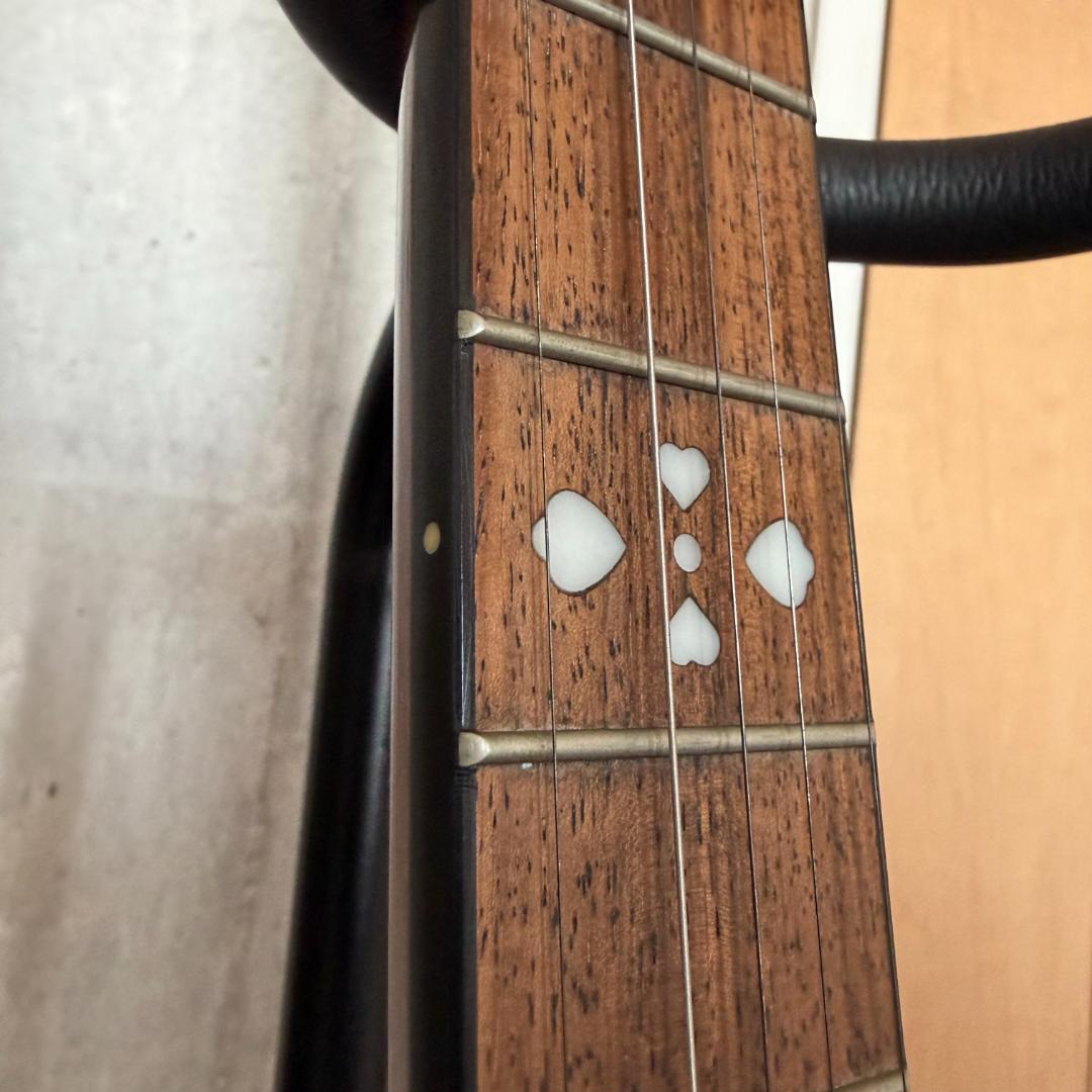 REMO 5弦バンジョー