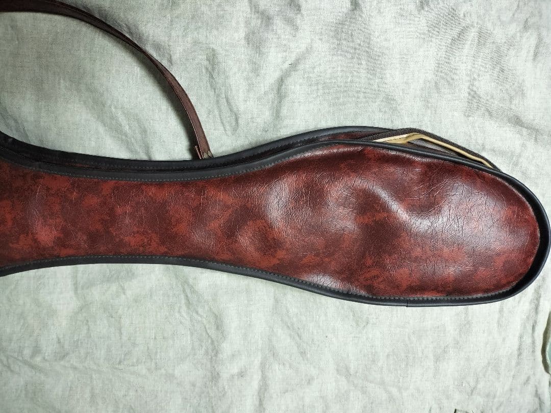 Aria Pro II エレキベース RSBシリーズ 日本製 ブラック