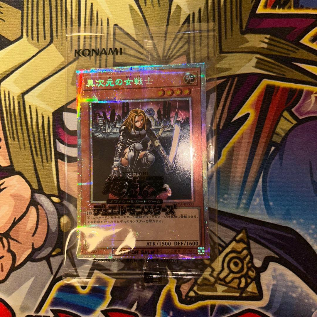 異次元の女戦士 プリシク