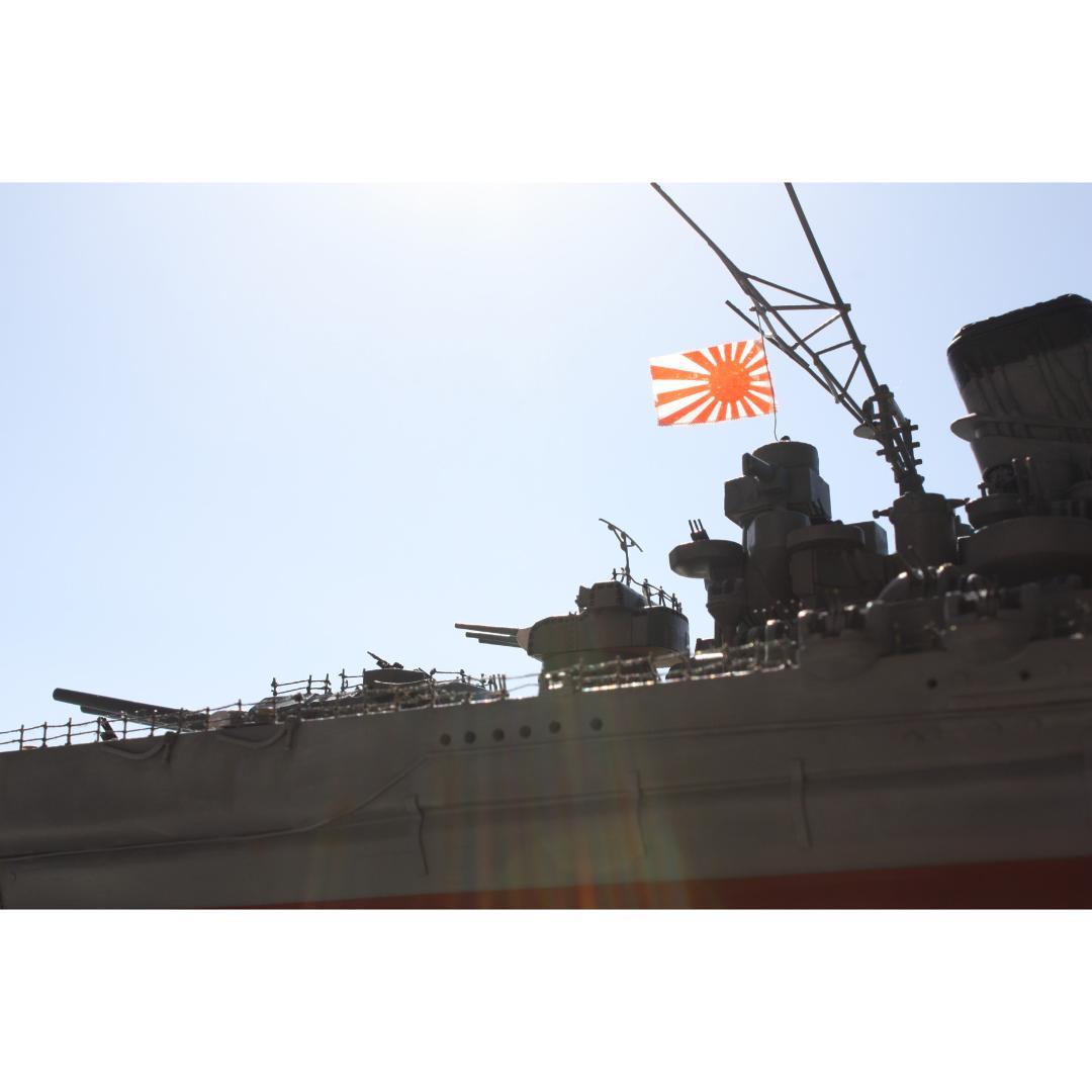 戦艦大和 ジオラマ 1/250 艦船模型 透明ケース付 プラモデルではありません