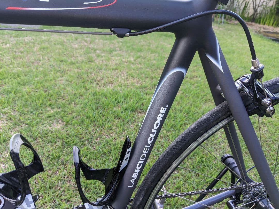 超美品 DE ROSA TEAM フレームセット イタリア製 ホリゾンタル