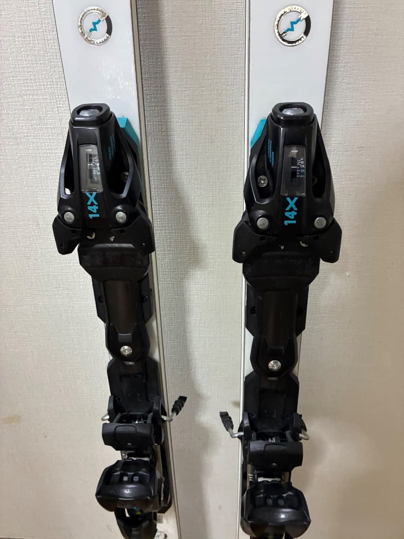 HEAD World Cup Rebels e.GS 176cm スキー板