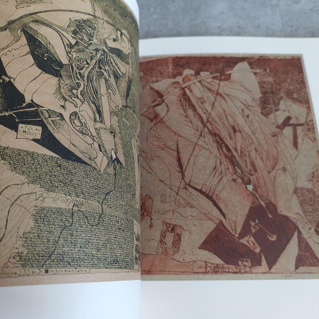 希少✨️限定200部　ホルスト　ヤンセン　写真　画集　アート　芸術　美大　藝大