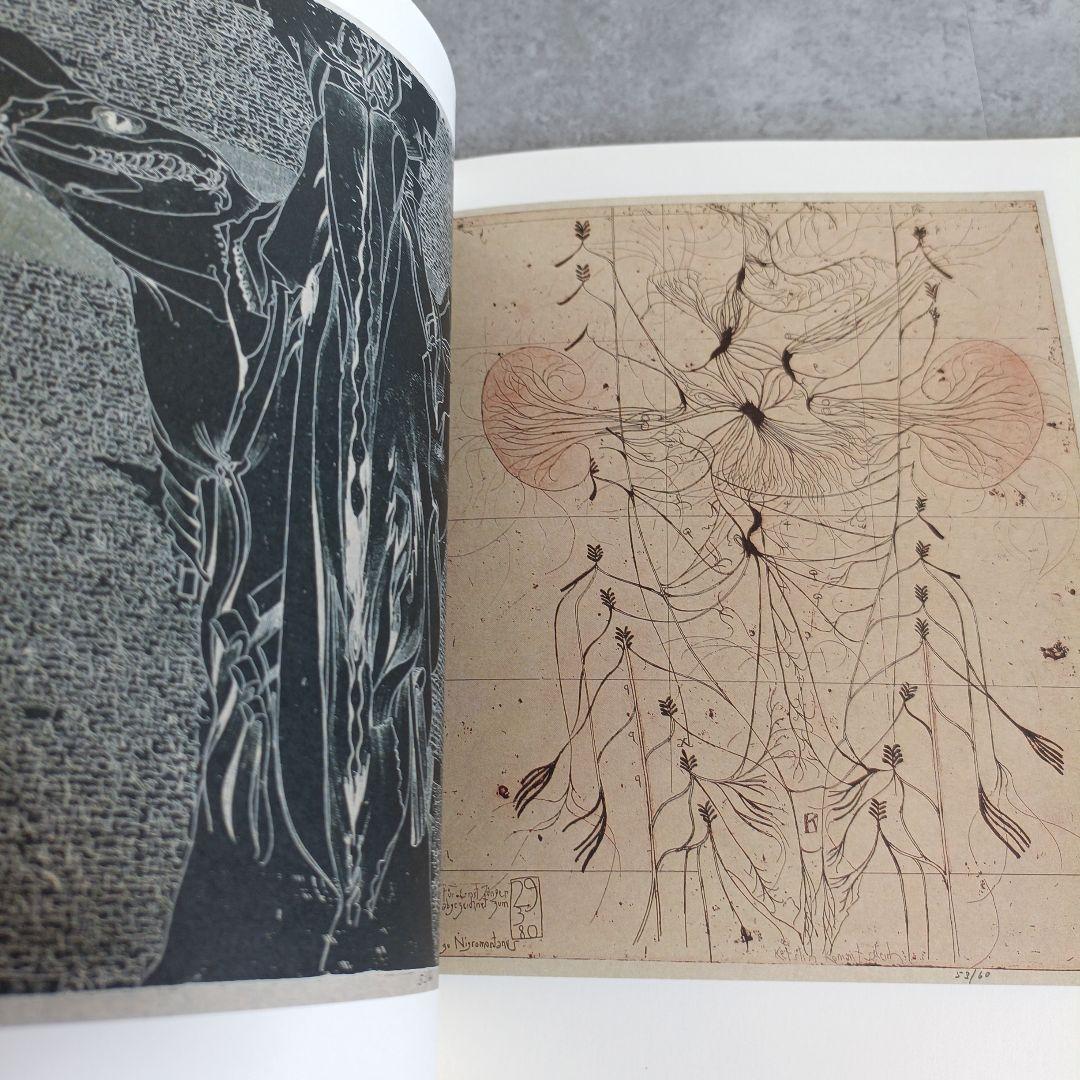 希少✨️限定200部　ホルスト　ヤンセン　写真　画集　アート　芸術　美大　藝大