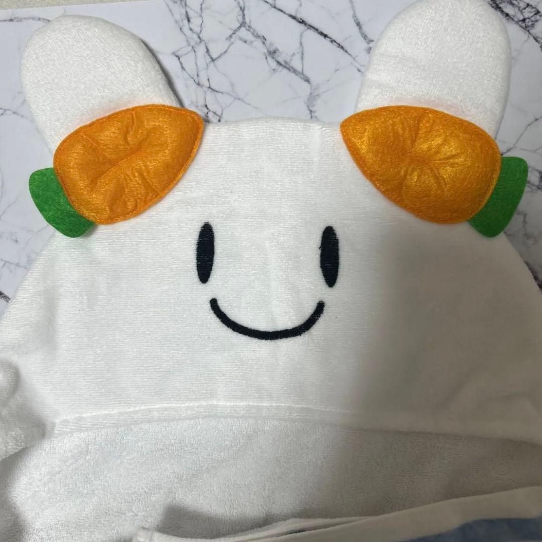 1st兎田ぺこらいぶ「うさぎtheMEGAMI‼︎」応援セット