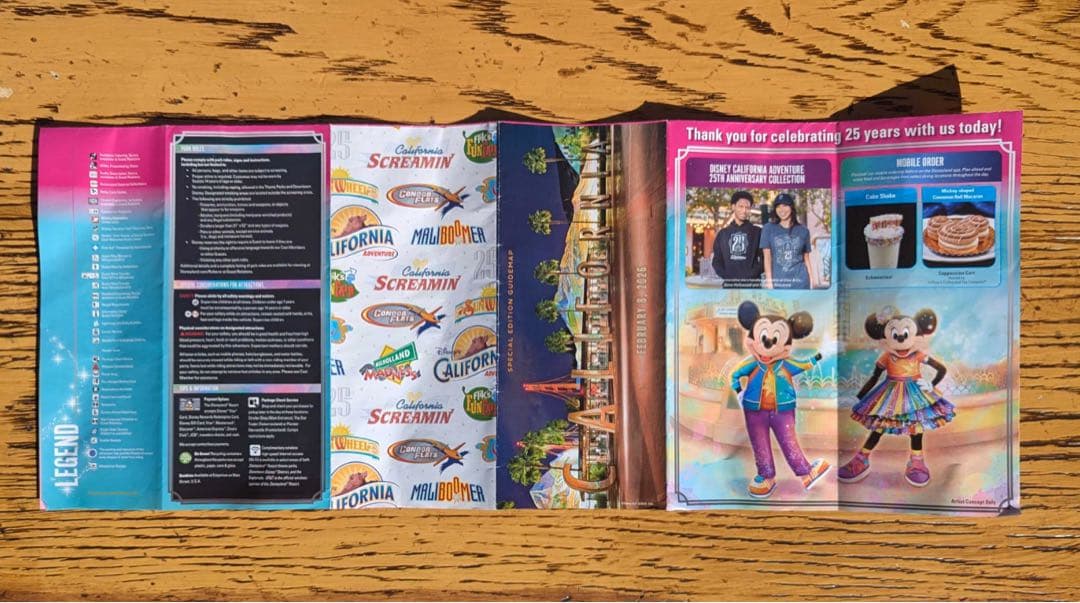 【限定パンフレット付き】カリフォルニアディズニー　ポップコーンバケット