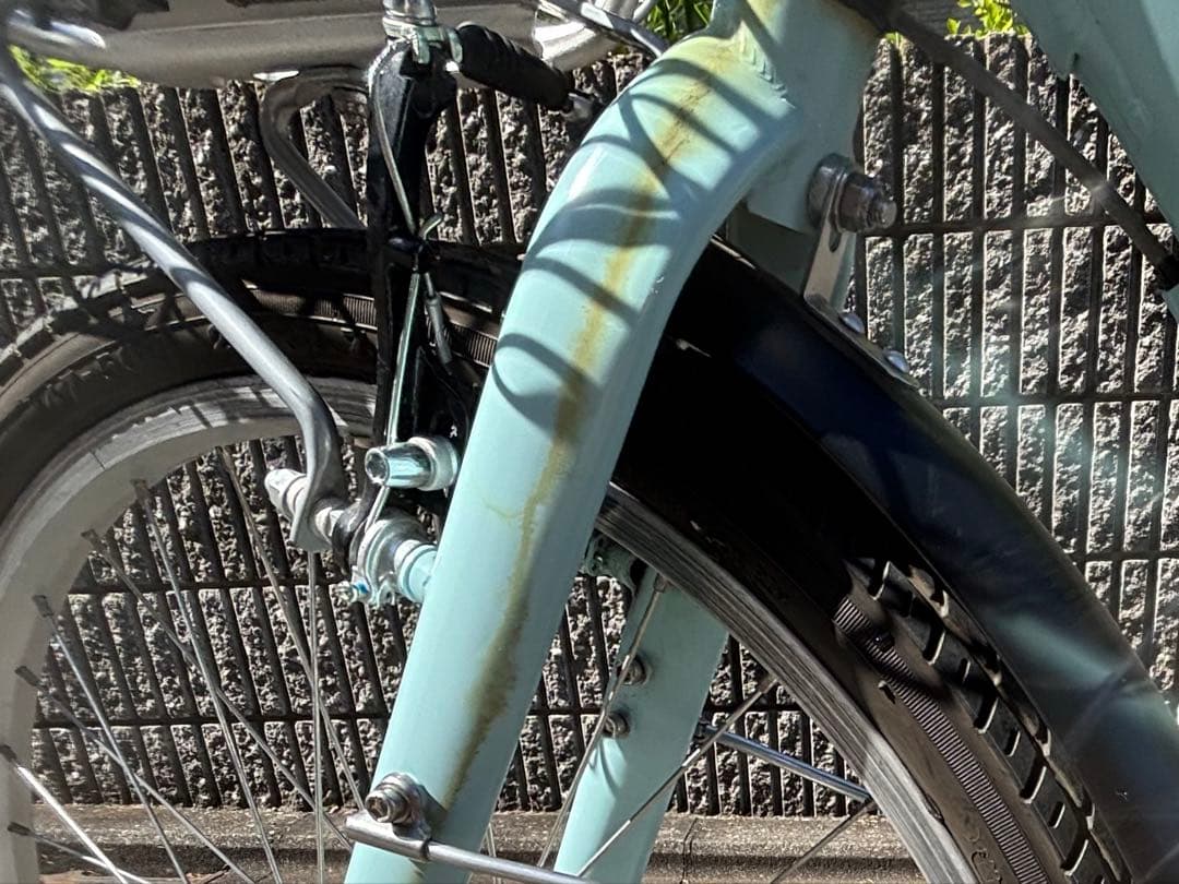 コーダーブルーム(Khodaa bloom) 24インチ