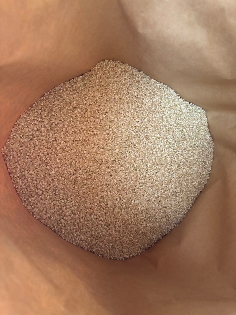 令和7年度 コシヒカリ 玄米30キロ