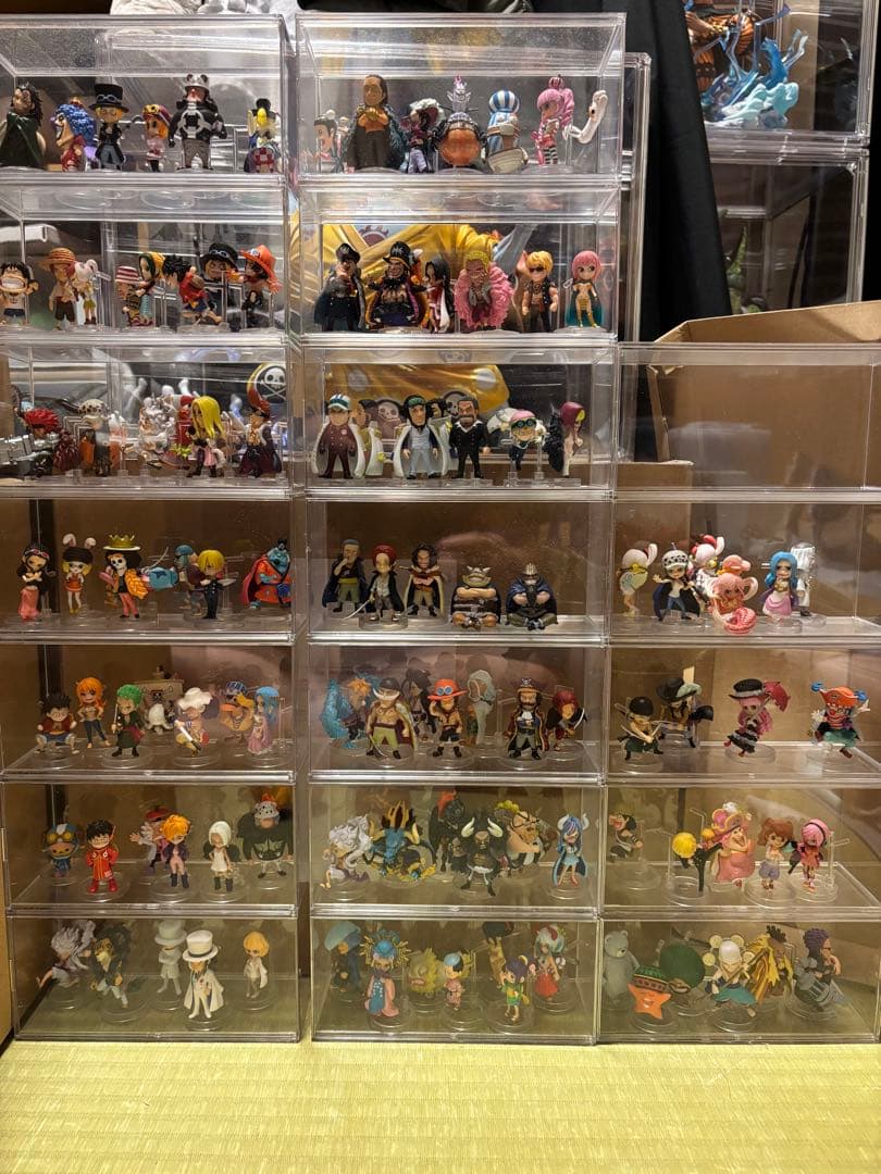 こうちゃん　ワンピの実　113体セット販売