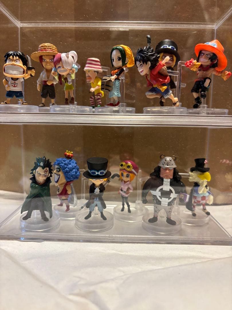 こうちゃん　ワンピの実　113体セット販売