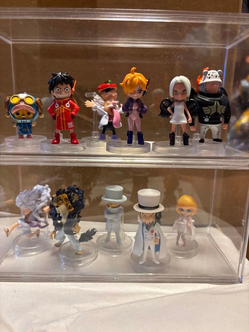 こうちゃん　ワンピの実　113体セット販売