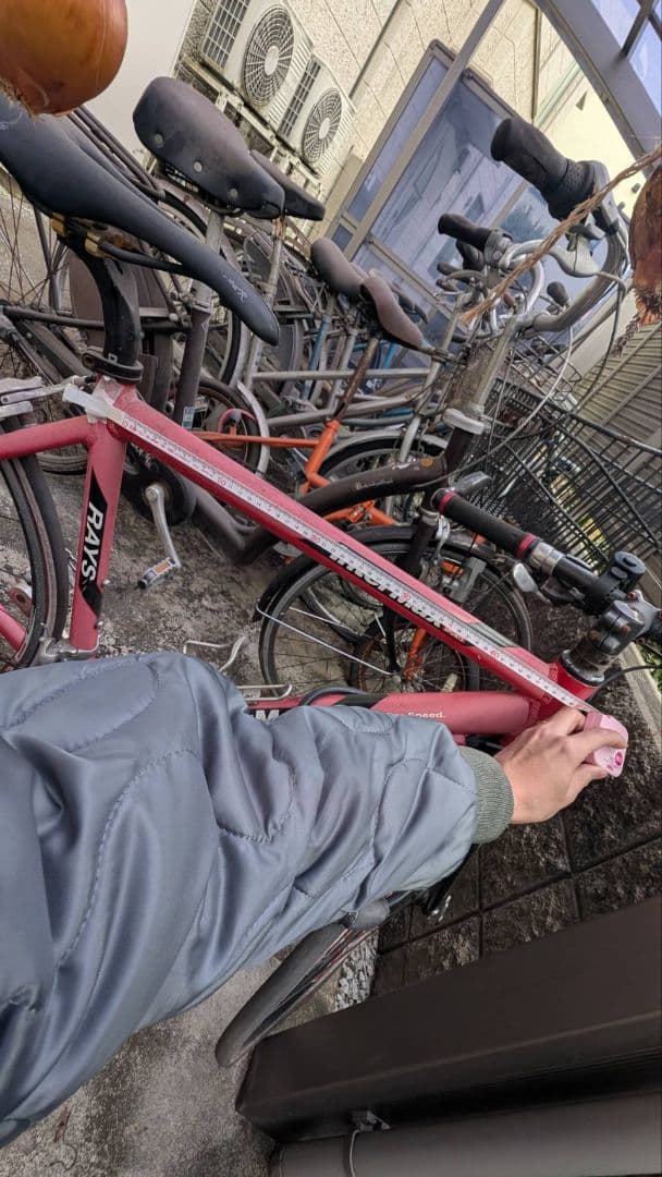 InterMax Sports ロードバイク レッド