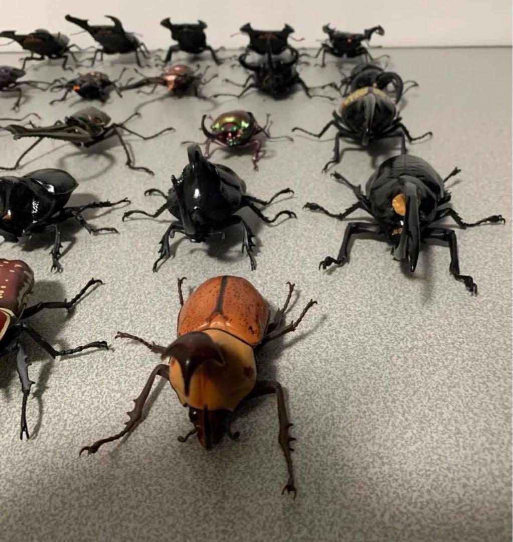 昆虫　カブトムシ　クワガタ　フィギュア　ガチャガチャ