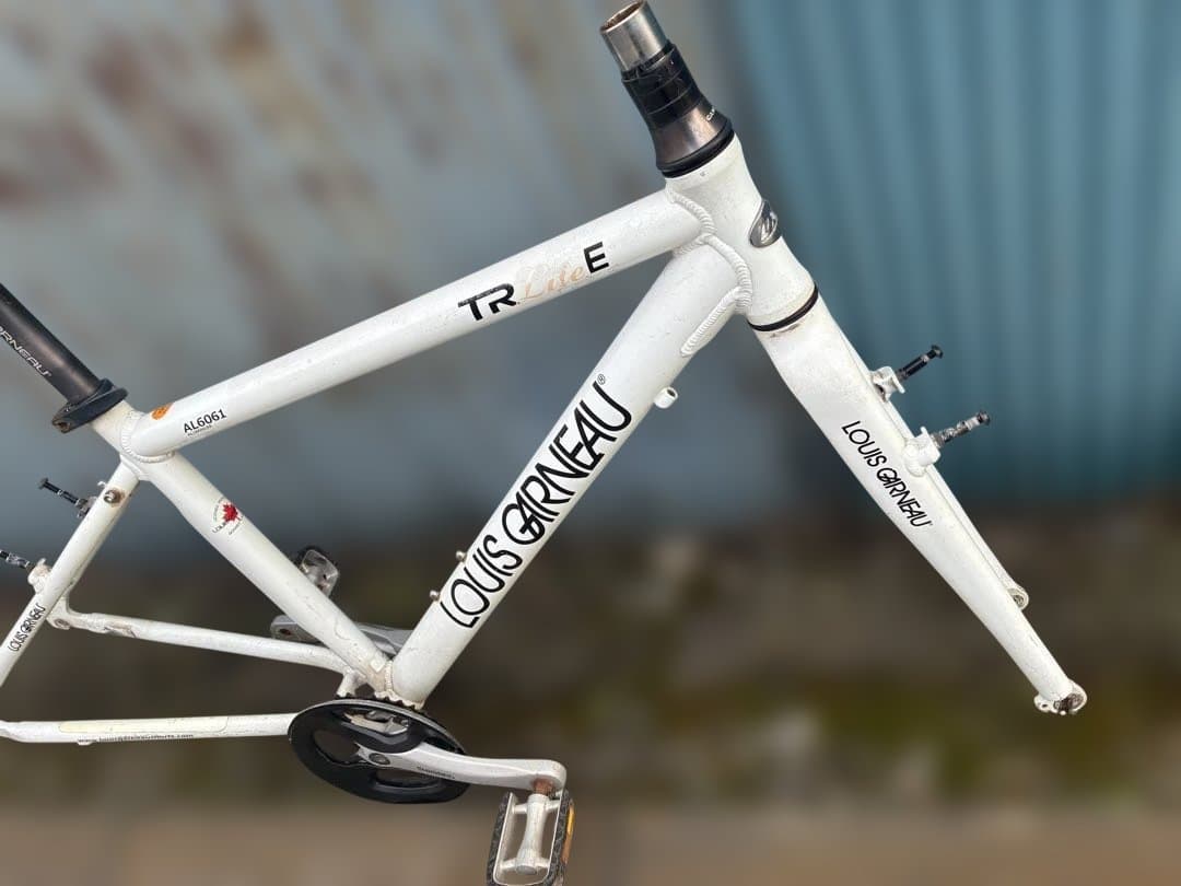 【現状品】クロスバイクフレーム ルイガノ TR LITE E 420サイズ