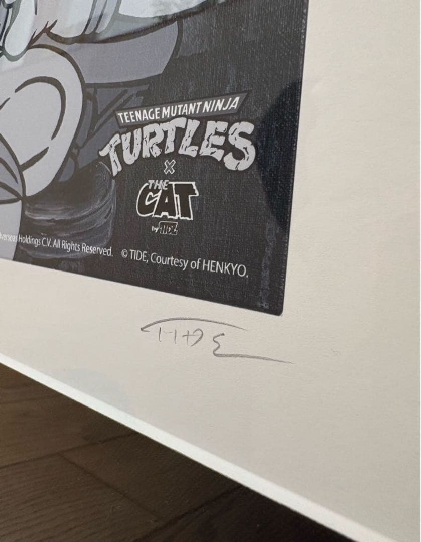 額装TIDE Mutant Ninja Turtles いでたつひろ 真作