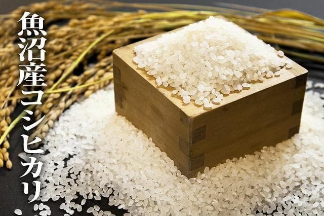 令和7年度産 新米コシヒカリ 30kg新潟南魚沼産 （特別栽培米)☆送料無料!