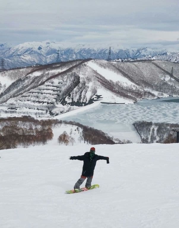 【ZEX スノーボードウェア ジャケット Lサイズ】スワロフスキー